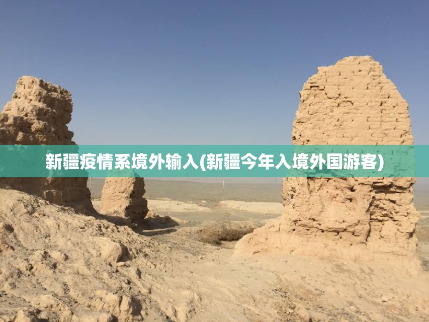 新疆疫情系境外输入(新疆今年入境外国游客)