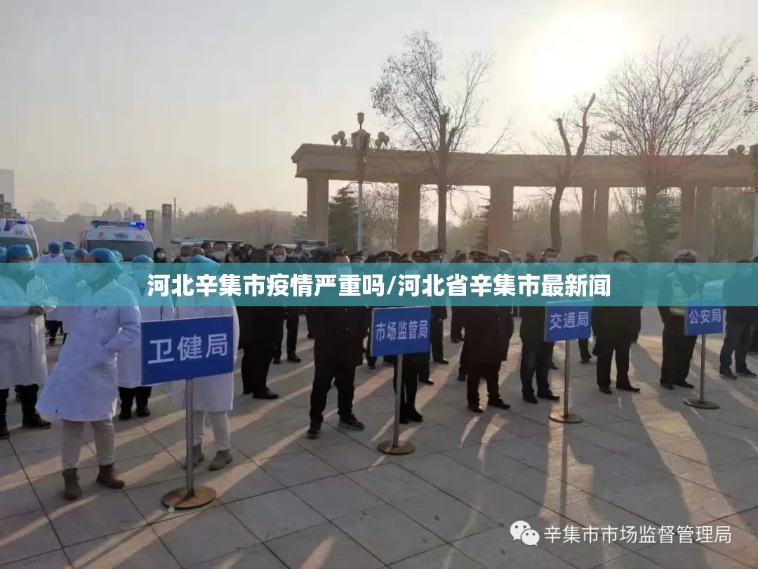 河北辛集市疫情严重吗/河北省辛集市最新闻