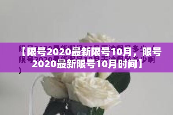 【限号2020最新限号10月，限号2020最新限号10月时间】