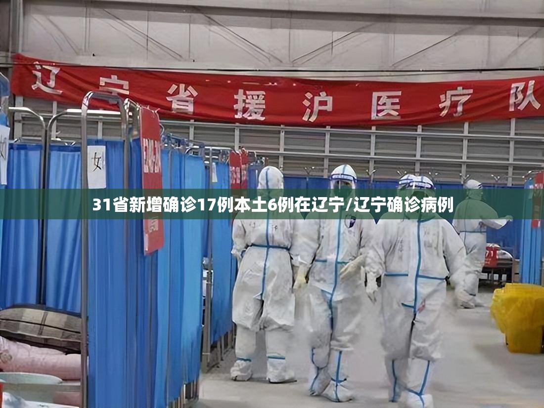 31省新增确诊17例本土6例在辽宁/辽宁确诊病例