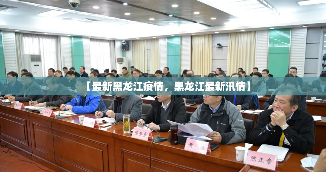 【最新黑龙江疫情，黑龙江最新汛情】