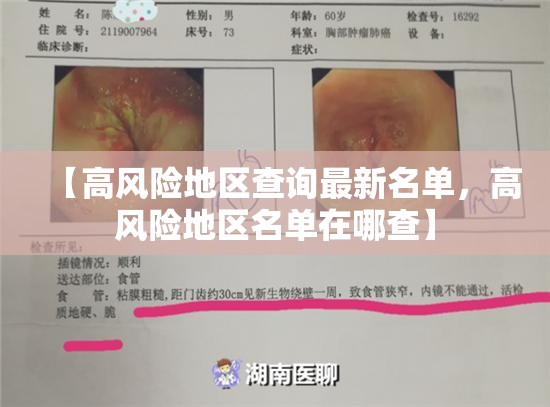 【高风险地区查询最新名单，高风险地区名单在哪查】