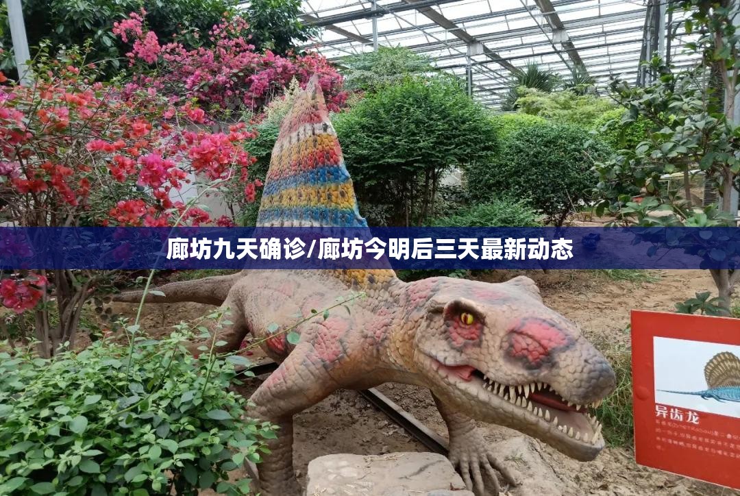 廊坊九天确诊/廊坊今明后三天最新动态