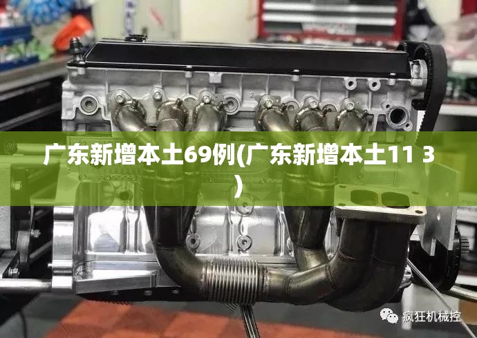 广东新增本土69例(广东新增本土11 3)