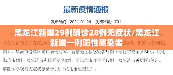黑龙江新增29例确诊28例无症状/黑龙江新增一例阳性感染者