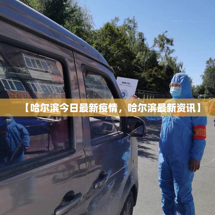 【哈尔滨今日最新疫情，哈尔滨最新资讯】