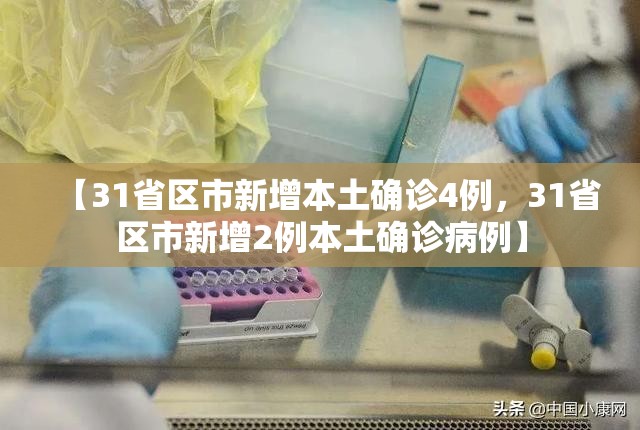【31省区市新增本土确诊4例，31省区市新增2例本土确诊病例】