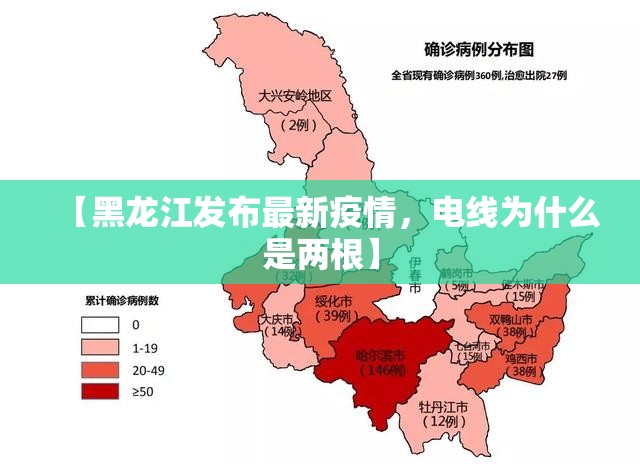 【黑龙江发布最新疫情，电线为什么是两根】