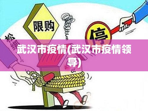 武汉市疫情(武汉市疫情领导)