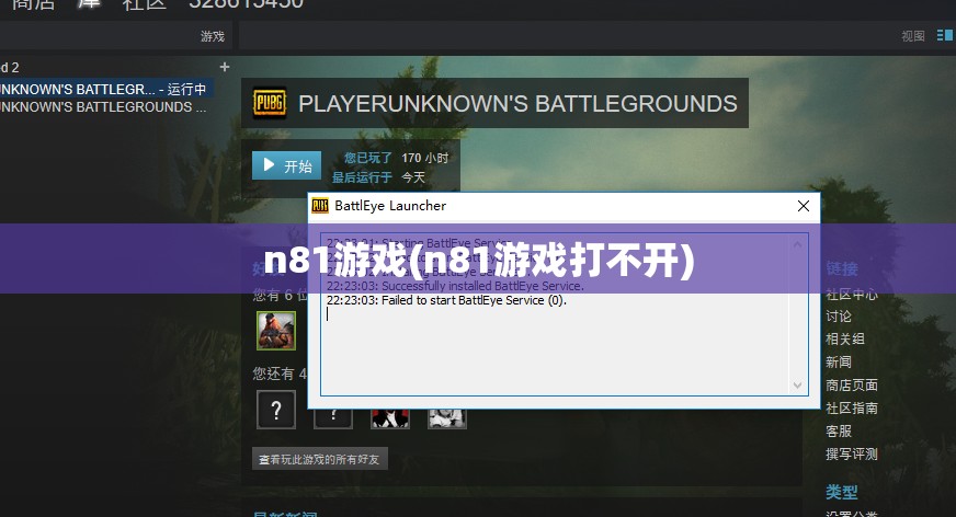n81游戏(n81游戏打不开)