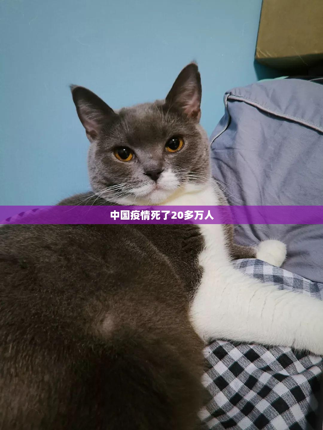 中国疫情死了20多万人