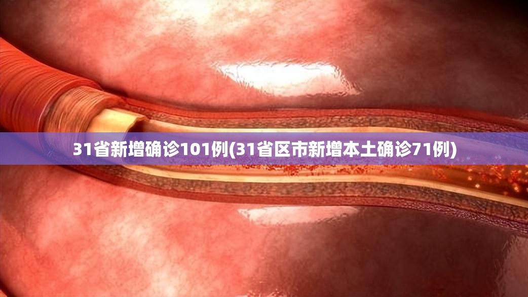 31省新增确诊101例(31省区市新增本土确诊71例)