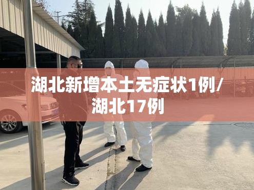 湖北新增本土无症状1例/湖北17例