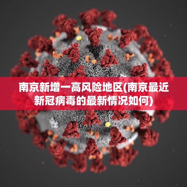 南京新增一高风险地区(南京最近新冠病毒的最新情况如何)