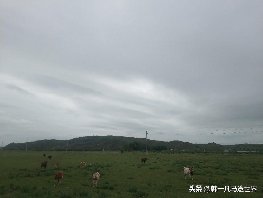未做核酸却查到结果?内蒙古通报/没做核酸健康码变黄怎么办