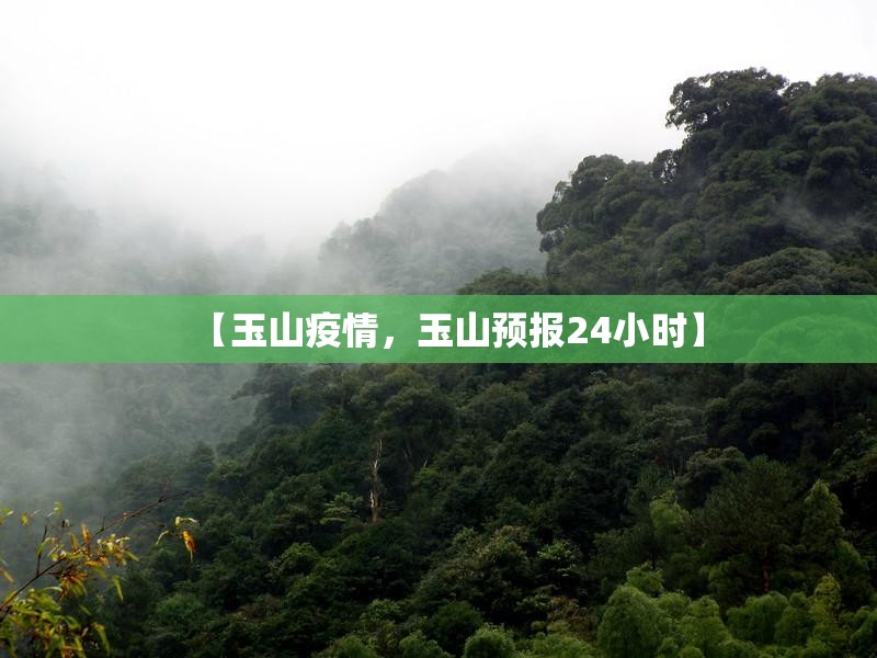 【玉山疫情，玉山预报24小时】