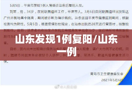 山东发现1例复阳/山东一例