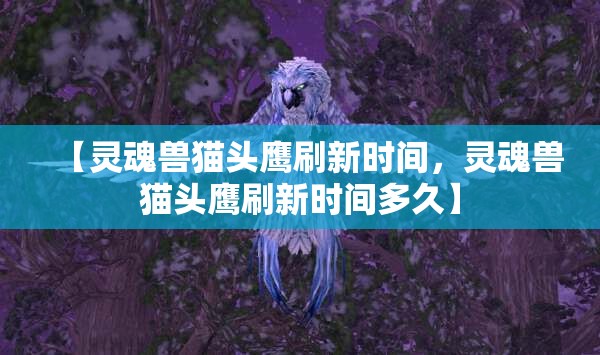 【灵魂兽猫头鹰刷新时间，灵魂兽猫头鹰刷新时间多久】