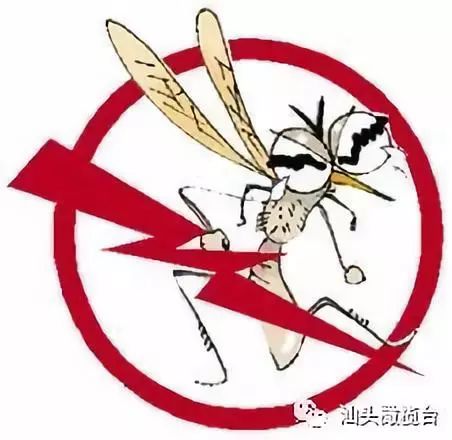 汕头疫情(汕头疫情蚊子严重吗)