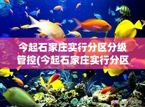 今起石家庄实行分区分级管控(今起石家庄实行分区分级管控了吗)